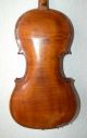 Probably Milanese Handmade 4/4 Master Violin - Labeled Giovanni Grancino String photo 4