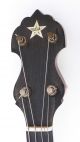 Antique Art Nouveau Vega Boston Usa Tenor Guitar No Mandolin Lute Bouzouki String photo 7