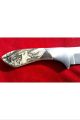 American Wildlife,  Scrimshaw Eagles & Salmon By Shar,  Fixed Blade Skinning Knife Scrimshaws photo 2