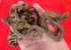 1800 ' S Antique Huge Wrought Chain With Hook Primitives photo 2