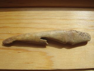 Old Bone Artifact - Harpoon/fishing Tool - Polished - Nw Coast - Columbia River photo
