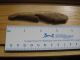 Old Bone Artifact - Harpoon/fishing Tool - Polished - Nw Coast - Columbia River Native American photo 2