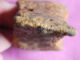 Roman Empire,  Сelts,  Ancient Iron Axe,  Carpathian Basin,  2 Cbc - 3 Cad Roman photo 4