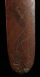 Old Decorated Aboriginal Shield Collected 1929 West Australia Pacific Islands & Oceania photo 3