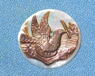 Antique / Vintage Mop Pearl Hand Carved Bird Button - photo