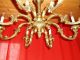Sublieme Rococo 8 Light Bronze Chandelier Chandeliers, Fixtures, Sconces photo 4