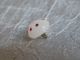 Antique 1800 ' S Glass Button Foil Bullseye Swirl Back Charmstring 626a Buttons photo 1