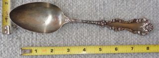 Hamilton & Diesinger Sterling Silver Serving Spoon 8 3/8 