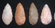 (7) Fine Sahara Neolithic Blades,  Tools,  Prehistoric African Arrowheads Neolithic & Paleolithic photo 1