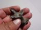 Ancient Roman Bronze Statue With Human Head And Spread Wings On Lion Paw Roman photo 5