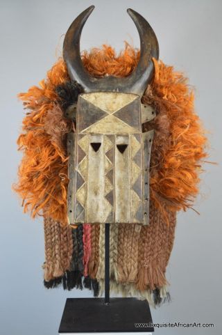 Exquisite African Art - Dogon Buffalo Bull Mask M0530 photo