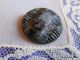 1340 – Stunning 1800’s Black Glass Imitation Fabric Purple Tinted Button Buttons photo 1