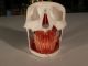 Vintage Skull Dental Model,  Dentistry Anatomical Form,  Skeleton Oddity Steampunk Other Antique Science, Medical photo 2