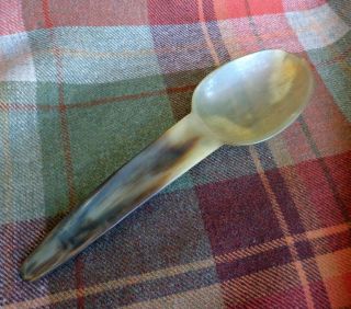 Large Antique Scottish Hand - Carved Cow Horn Ladle Serving Spoon 1880s 1 photo