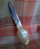 Large Antique Scottish Hand - Carved Cow Horn Ladle Serving Spoon 1880s 1 Primitives photo 2