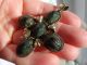 Extremely Rare Lge Victorian Egyptian Revival Multi Scarab Beetle Cross Pendant Egyptian photo 6
