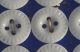 12 White Pie Crust China Buttons On Card 7/16 