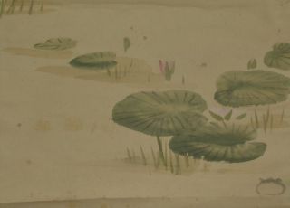Hanging Scroll Japanese Painting Lotus Antique Japan Asian Art Ink Picture A221 photo