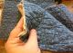 Moprimitivepast Pair Antique Indigo Calico Stacker Candle Mats Primitive 1890 Primitives photo 2