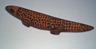 Australian Aboriginal Artifact Small Lizard Totem Specialtribal Meanings photo