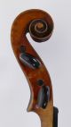 Amati Pesi Antique Old Violin,  Case Violino Violine Viola Violino German No.  1 String photo 10