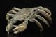 China Collectible Old Bronze Handwork Carving Crab Statue Figure Home Decoration Other Chinese Antiques photo 4