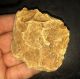 Mousterian Pontinian Neanderthal Hand Axe Italy Italia Neolithic & Paleolithic photo 1