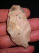 Aterian Early Man Tool,  Scraper (30,  000 - 80,  000 Bp) Prehistoric African Artifact Neolithic & Paleolithic photo 4