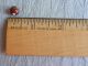 Antique 1800s Diminutiv Glass Button Brown Bullseye Swirl Back Charmstring 706a Buttons photo 2