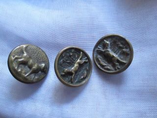 Antique Buttons From Brass 2 Dear & 3 Dogs/france photo