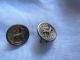 Antique Buttons From Brass 2 Dear & 3 Dogs/france Buttons photo 2