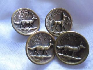 Antique Buttons From Brass 1 Dear & 3 Dogs/france photo