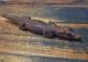 Brt Vintage Old 1960 ' S Png Detailed Baby Crocodile Wood Carving Pacific Pacific Islands & Oceania photo 1