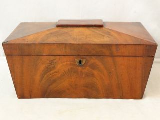 19thc Ca.  1840 Antique Regency Style Coffin Lid Old Victorian Wood Tea Caddy photo