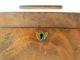 19thc Ca.  1840 Antique Regency Style Coffin Lid Old Victorian Wood Tea Caddy Boxes photo 2