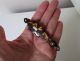 Antique Victorian Gilt Solid Silver Small Lorgnettes Folding Eyeglasses Optical photo 1