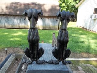 Old Hd Cast Iron 1900s Whippet Hound Dog Fireplace Ready Andirons Complete 14 