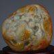 Chinese Natural Hetian Jade Hand - Carved Tortoise Statue Other Antique Chinese Statues photo 1