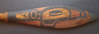 Incredible Painted Late 19th Century Haida Dance Paddle,  Or Tlingit.  Circa 1880 ' photo