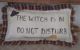 Primitive Halloween Pillow Sign Wall Hanging The Witch Is In Do Not Disturb Tuck Primitives photo 1