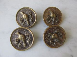 4 Gorgeous Old 19th Century Metal Buttons Birds 1 3/8 