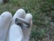 Ancient Roman Silver Legionary Ring Huge Solid Rare Museum Quality Artifact Roman photo 8