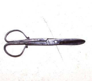 1900s Antique Five Different Size Hand Crafted Iron Scissors 411 photo