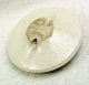 Antique Meiji Satsuma Button Bamboo W/ Gold Accents - 3/4 