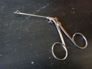 Antique Medical Instrument Tonsil Sucher Snips Tiny Scissors Salvati 19th C photo
