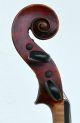 Fine Over 250 Years Old Tyrolean Master Violin,  Albani School,  7/8 Size For Lady String photo 4