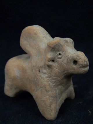 Ancient Teracotta Bull Indus Valley 1000 Bc Tr265 photo