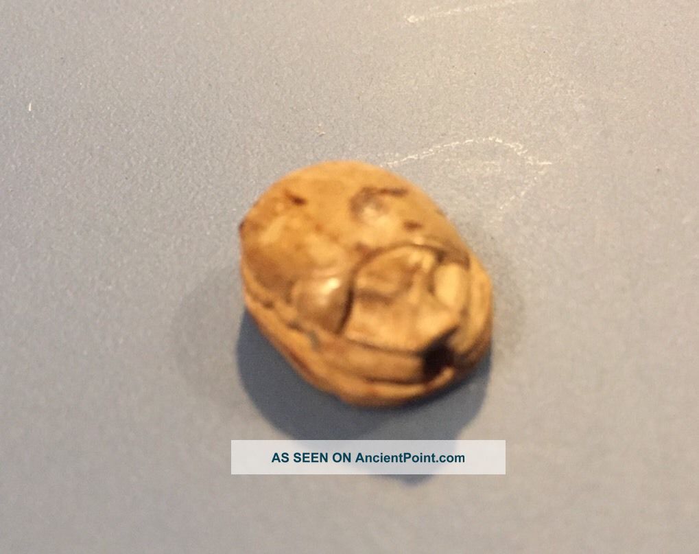 Wow 1750 B.  C.  Ancient Egyptian Scarab Beetle Amulet Beads Artifacts Antiquities Egyptian photo