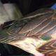 Old Painted Wood Duck Decoy Jacob Bruinooge S.  Wellfleet Mass Primitives photo 9