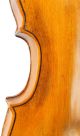 Very Old And Interesting Antique 18th Century Violin - Finolli,  1756 - String photo 9